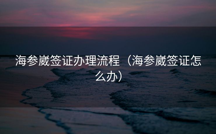海参崴签证办理流程（海参崴签证怎么办）