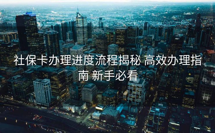 社保卡办理进度流程揭秘 高效办理指南 新手必看