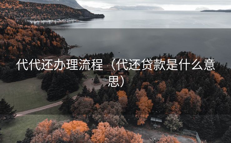 代代还办理流程（代还贷款是什么意思）