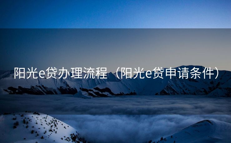阳光e贷办理流程（阳光e贷申请条件）
