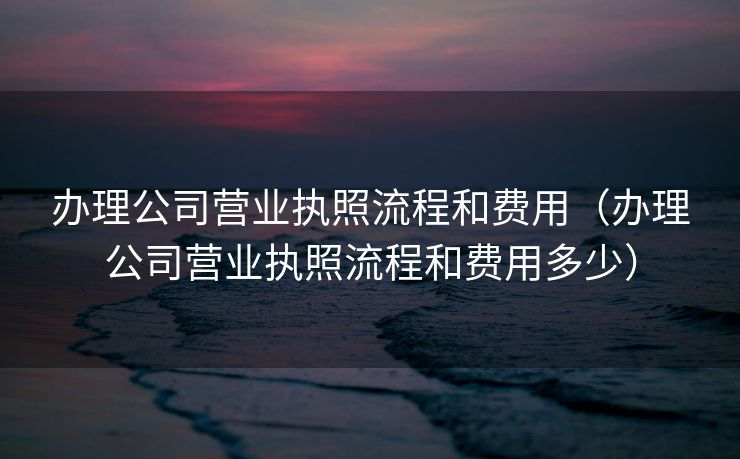 办理公司营业执照流程和费用（办理公司营业执照流程和费用多少）