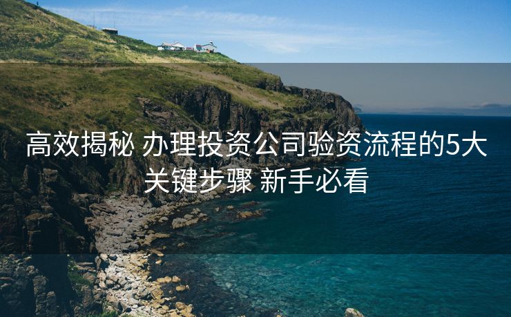 高效揭秘 办理投资公司验资流程的5大关键步骤 新手必看