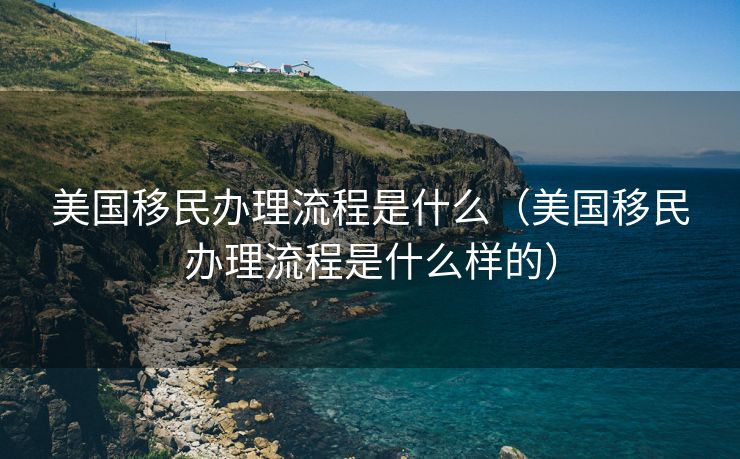美国移民办理流程是什么（美国移民办理流程是什么样的）