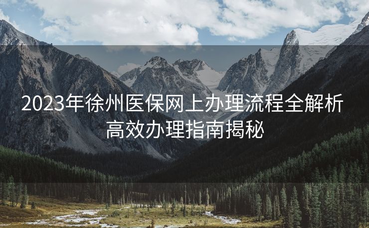 2023年徐州医保网上办理流程全解析 高效办理指南揭秘