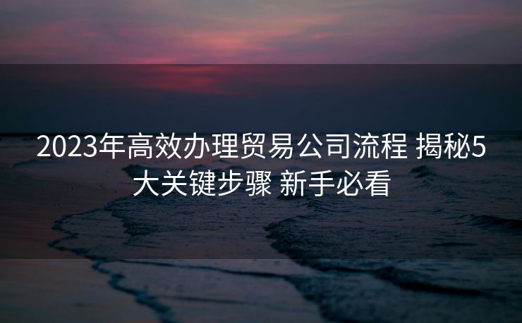 2023年高效办理贸易公司流程 揭秘5大关键步骤 新手必看 2023年高效办理贸易公司流程 揭秘5大关键步骤 新手必看