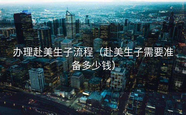 办理赴美生子流程（赴美生子需要准备多少钱）