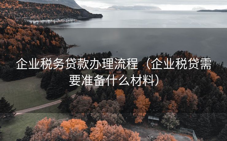 企业税务贷款办理流程（企业税贷需要准备什么材料）