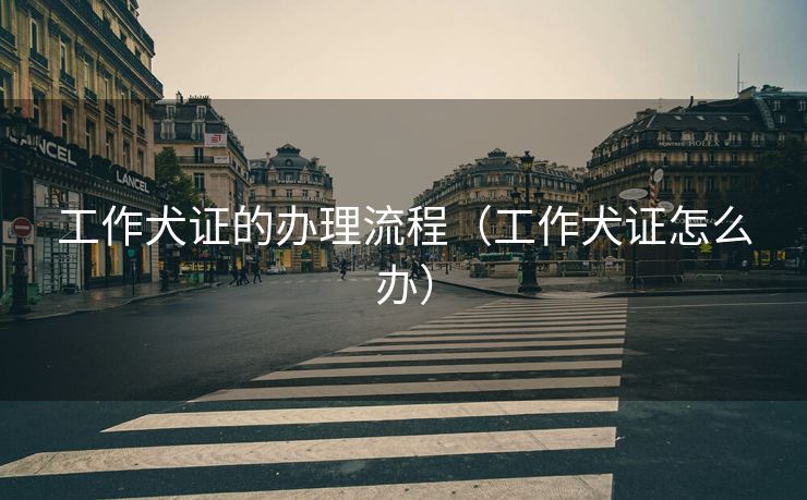 工作犬证的办理流程（工作犬证怎么办）