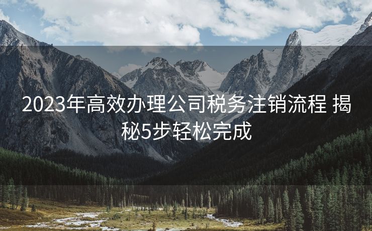 2023年高效办理公司税务注销流程 揭秘5步轻松完成