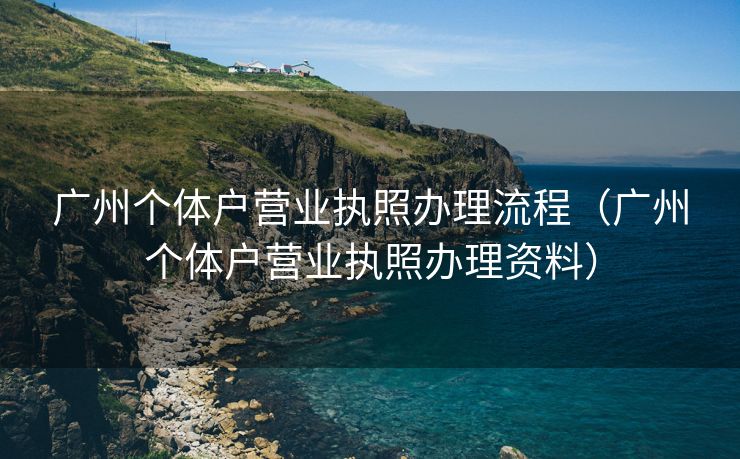 广州个体户营业执照办理流程（广州个体户营业执照办理资料）