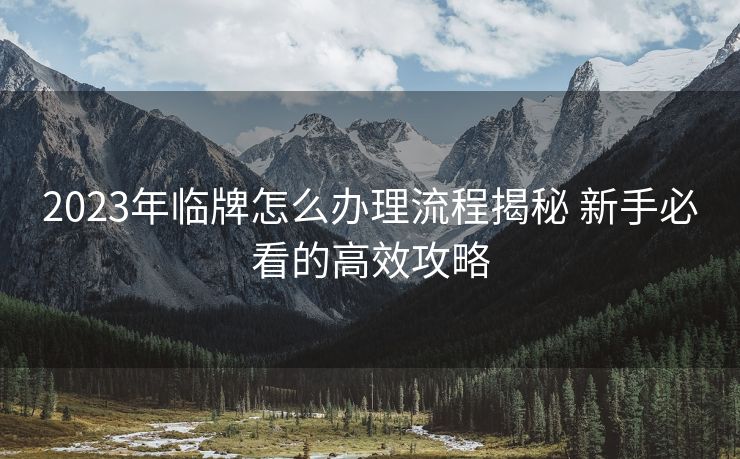 2023年临牌怎么办理流程揭秘 新手必看的高效攻略 2023年临牌怎么办理流程揭秘 新手必看的高效攻略