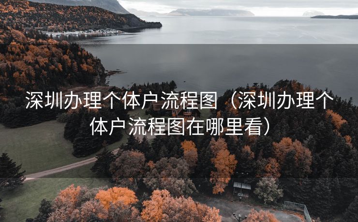 深圳办理个体户流程图（深圳办理个体户流程图在哪里看）