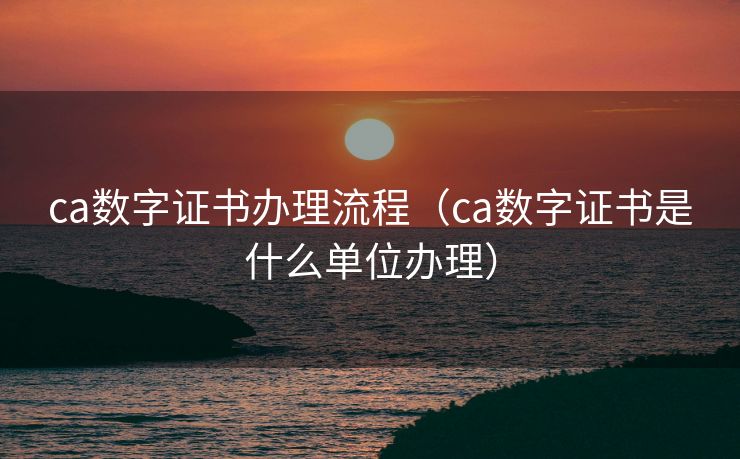 ca数字证书办理流程（ca数字证书是什么单位办理）