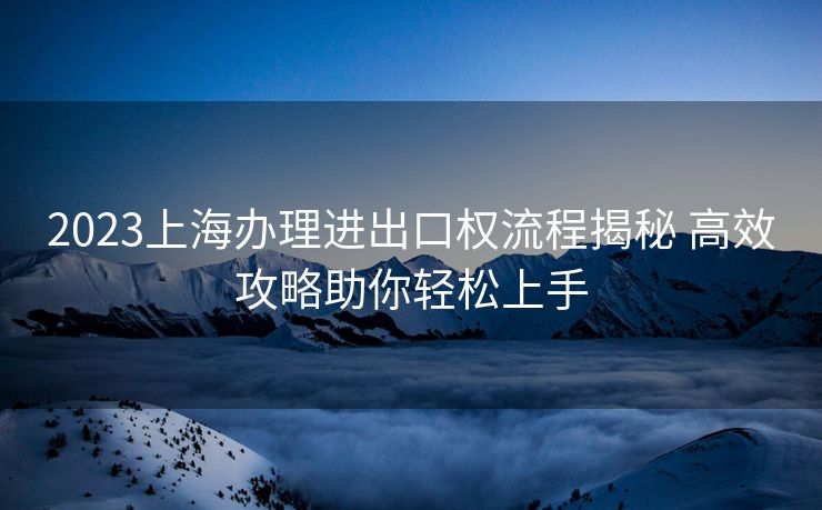 2023上海办理进出口权流程揭秘 高效攻略助你轻松上手