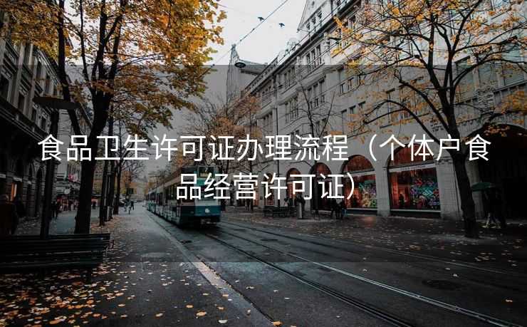食品卫生许可证办理流程（个体户食品经营许可证）
