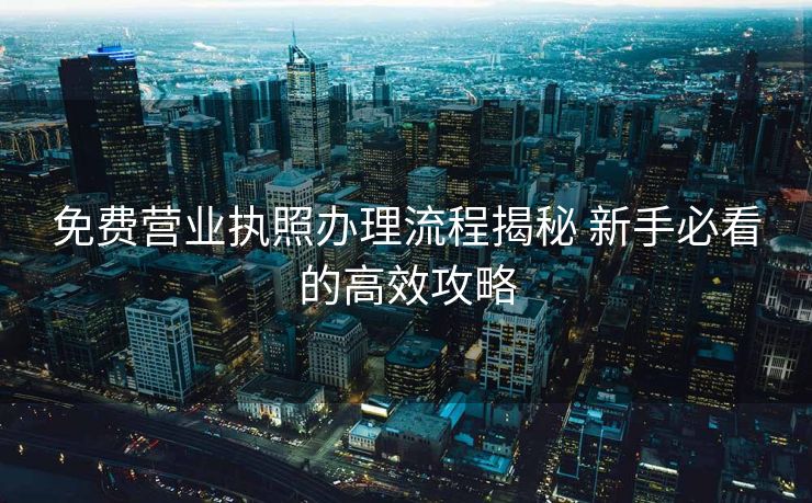 免费营业执照办理流程揭秘 新手必看的高效攻略