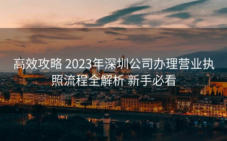 高效攻略 2023年深圳公司办理营业执照流程全解析 新手必看