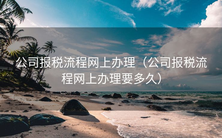 公司报税流程网上办理（公司报税流程网上办理要多久）