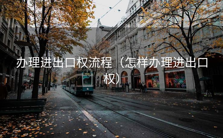 办理进出口权流程（怎样办理进出口权）