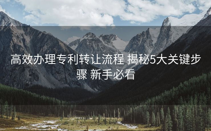 高效办理专利转让流程 揭秘5大关键步骤 新手必看