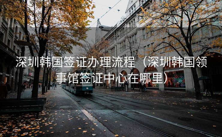 深圳韩国签证办理流程（深圳韩国领事馆签证中心在哪里）