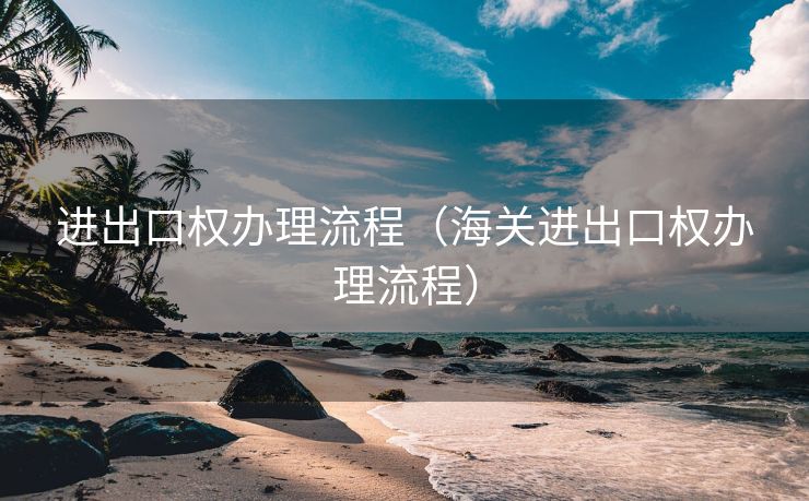 进出口权办理流程（海关进出口权办理流程）