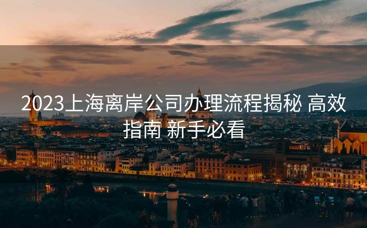 2023上海离岸公司办理流程揭秘 高效指南 新手必看 2023上海离岸公司办理流程揭秘 高效指南 新手必看