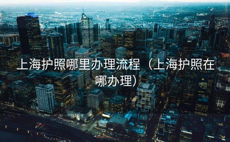 上海护照哪里办理流程（上海护照在哪办理）