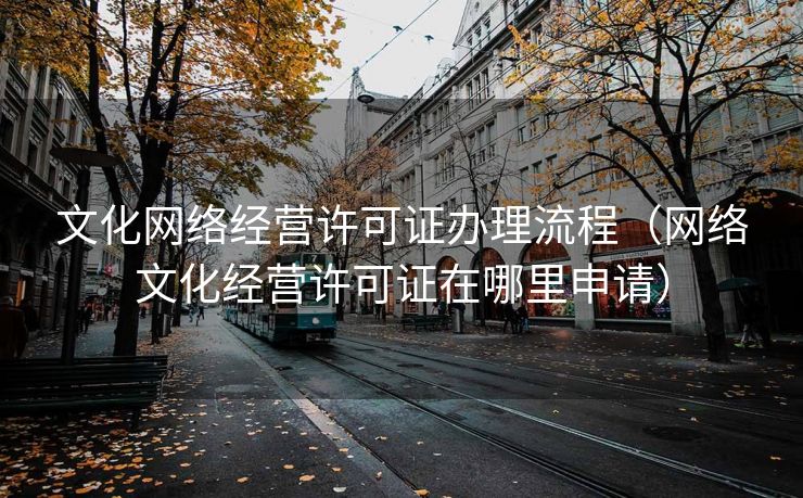 文化网络经营许可证办理流程（网络文化经营许可证在哪里申请）