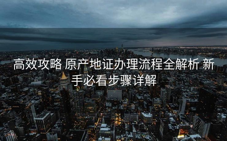 高效攻略 原产地证办理流程全解析 新手必看步骤详解