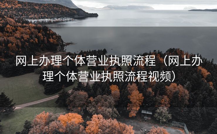 网上办理个体营业执照流程（网上办理个体营业执照流程视频）