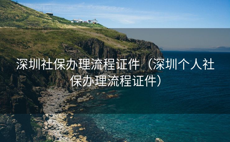 深圳社保办理流程证件（深圳个人社保办理流程证件）