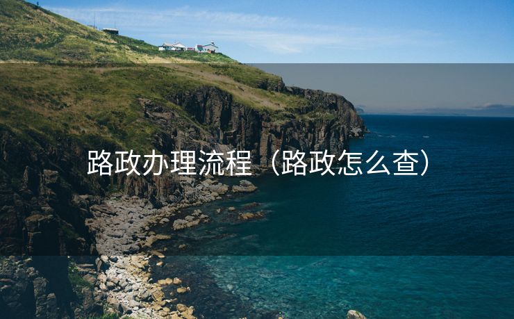 路政办理流程（路政怎么查）