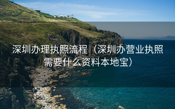 深圳办理执照流程（深圳办营业执照需要什么资料本地宝）