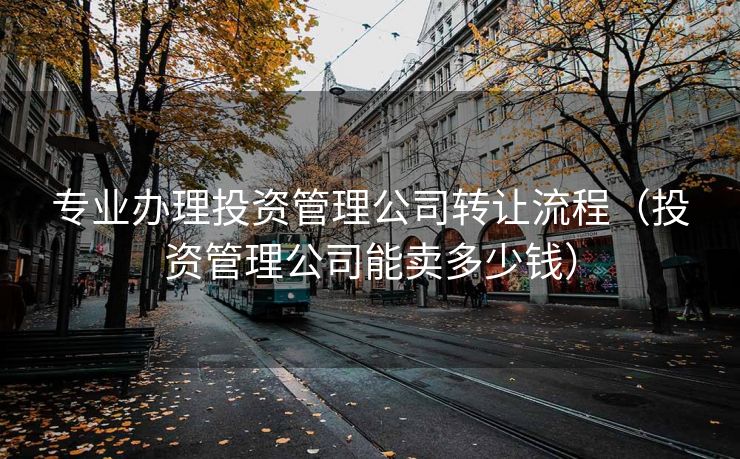 专业办理投资管理公司转让流程（投资管理公司能卖多少钱）