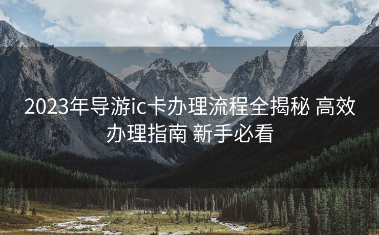 2023年导游ic卡办理流程全揭秘 高效办理指南 新手必看