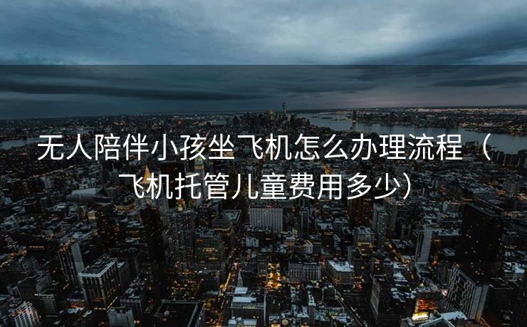 无人陪伴小孩坐飞机怎么办理流程（飞机托管儿童费用多少）