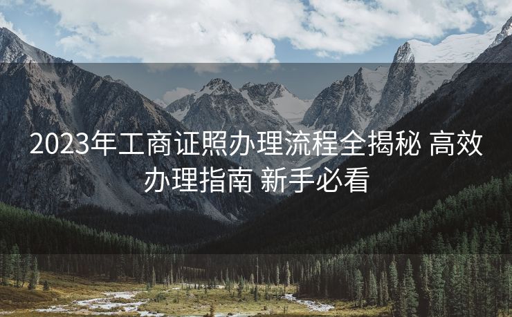 2023年工商证照办理流程全揭秘 高效办理指南 新手必看