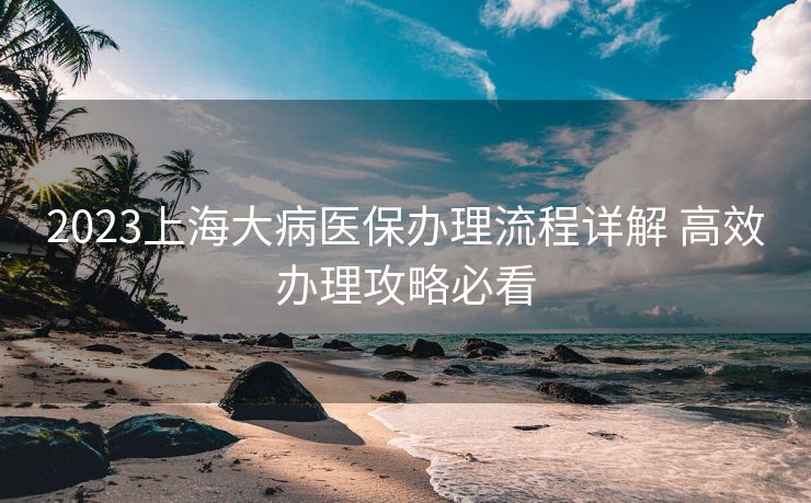 2023上海大病医保办理流程详解 高效办理攻略必看 2023上海大病医保办理流程详解 高效办理攻略必看