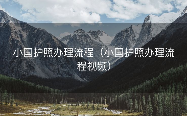 小国护照办理流程（小国护照办理流程视频）