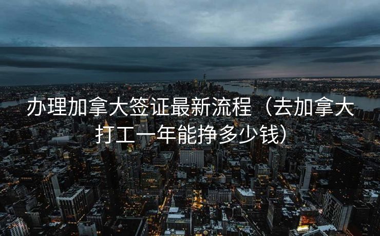 办理加拿大签证最新流程（去加拿大打工一年能挣多少钱）