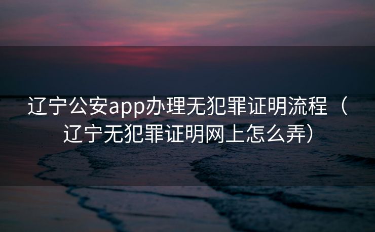 辽宁公安app办理无犯罪证明流程（辽宁无犯罪证明网上怎么弄）