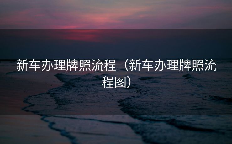 新车办理牌照流程(新车办理牌照流程图) 新车办理牌照流程(新车办理牌照流程图)
