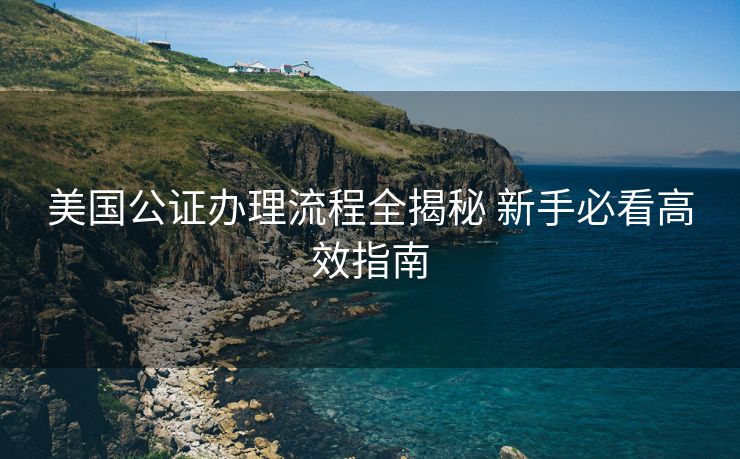 美国公证办理流程全揭秘 新手必看高效指南