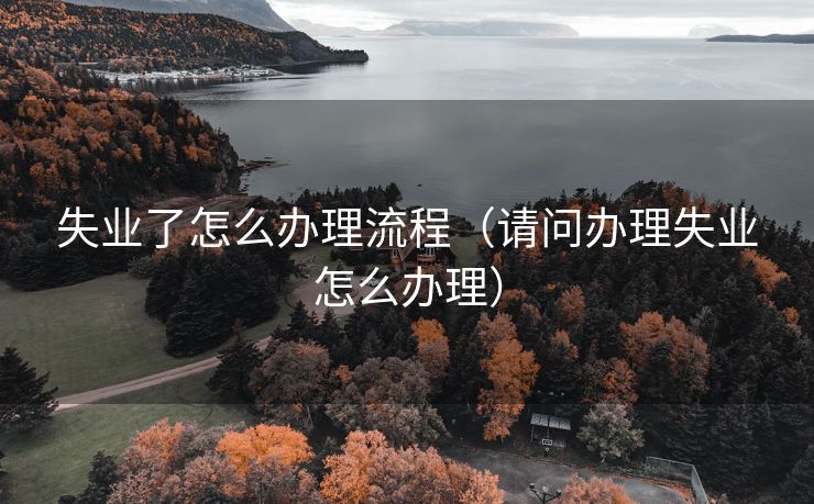 失业了怎么办理流程（请问办理失业怎么办理）