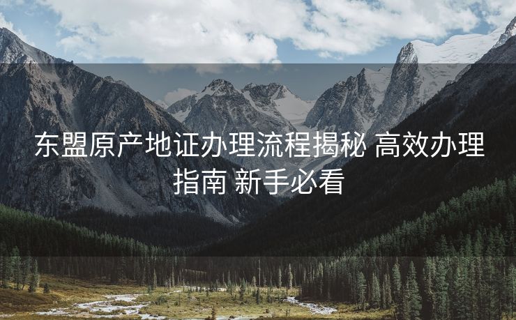 东盟原产地证办理流程揭秘 高效办理指南 新手必看 东盟原产地证办理流程揭秘 高效办理指南 新手必看