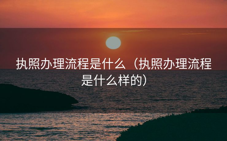 执照办理流程是什么（执照办理流程是什么样的）