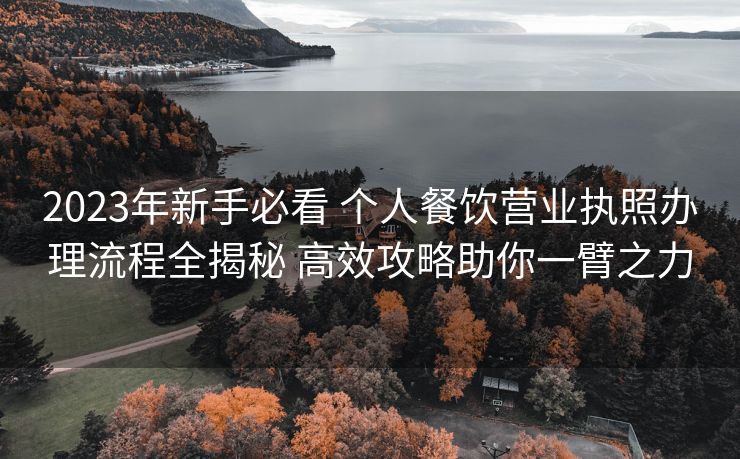2023年新手必看 个人餐饮营业执照办理流程全揭秘 高效攻略助你一臂之力