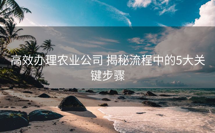 高效办理农业公司 揭秘流程中的5大关键步骤