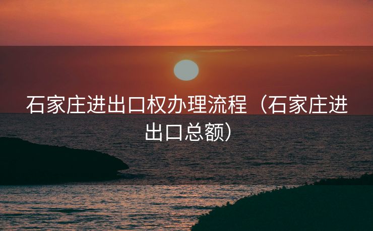 石家庄进出口权办理流程（石家庄进出口总额）